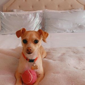 Meet your Posher, Jen